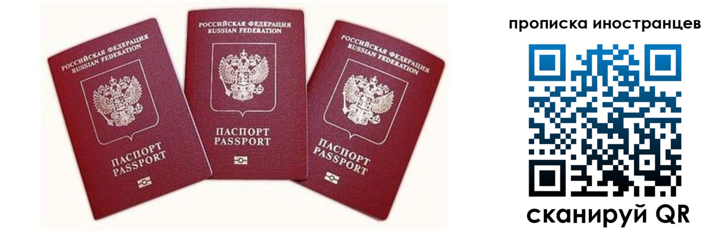 прописка в Сольцах